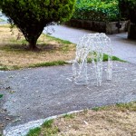 InadvertantDrvway_ChuckWolfe1-reindeer