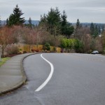 IMG_7282 (4928×3264) (2048×1150)