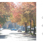 Screen Shot 2015-01-16 at 12.24.22 AM