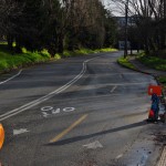 IMG_0904 (3264×4928) (1356×2048)