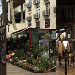 lake2bay-bcn-la-rambla-collage