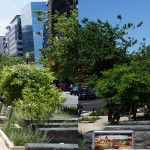 lake2bay-dc-noma-collage