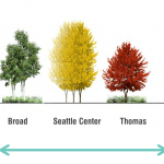 lake2bay-concept-continuum-vegetation