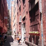 Rankins Lane by Sarah Oberklaid