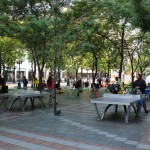 Westlake – Sarah Oberklaid