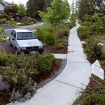 Bioswale Separation – SDOT