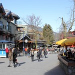 Whistler by Sarah Oberklaid