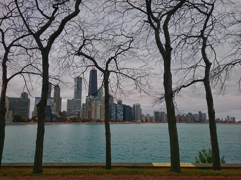 View of the Chicago skyline. Photo by Sarah Oberklaid. 