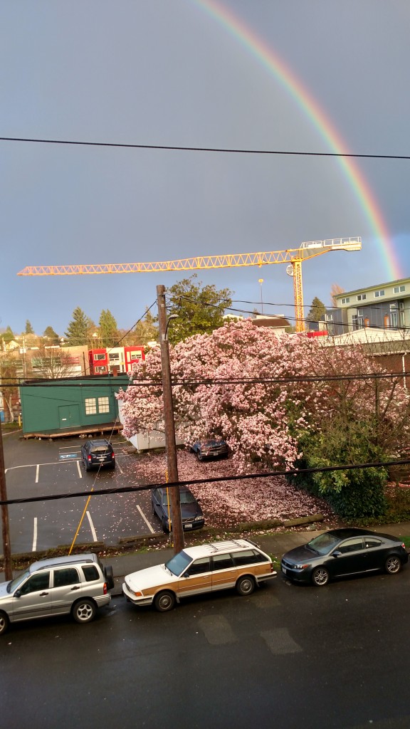 Don't get me wrong, urban trees certainly have their perks. We need to integrate them into a more densely urban fabric.