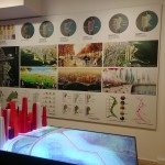 Chicago Architecture Biennial Sarah Oberklaid