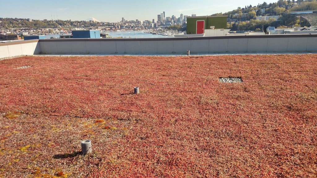 Green roofs help reduce the amount of runoff fouling streams.
