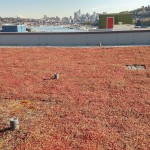 veloGreenRoof
