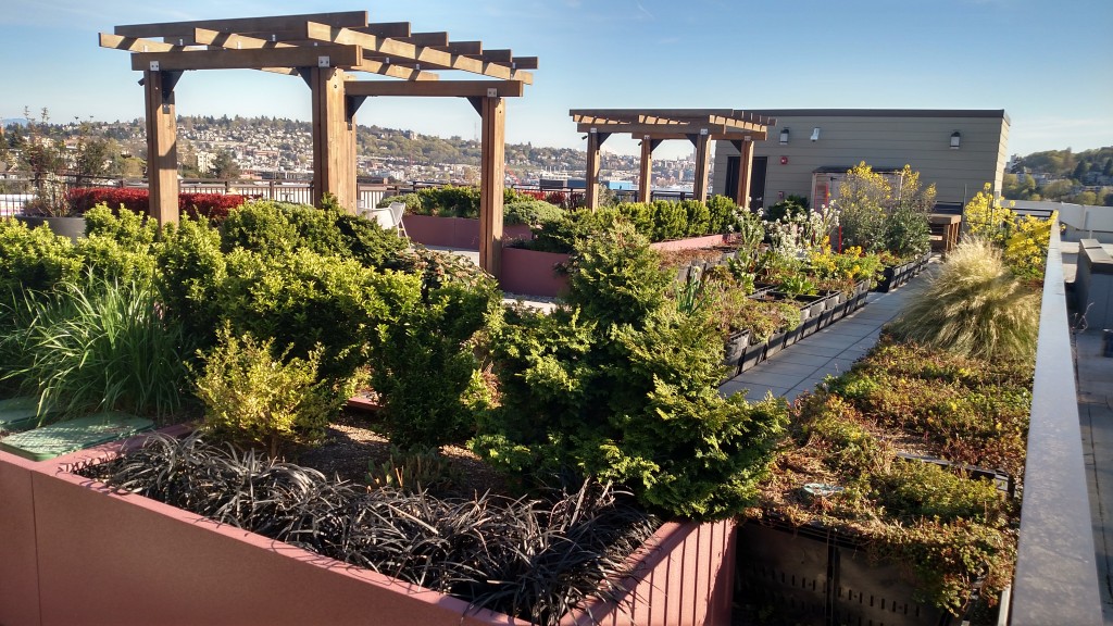 Some might not realize it from the street, but many new buildings have gardens on their green roofs.