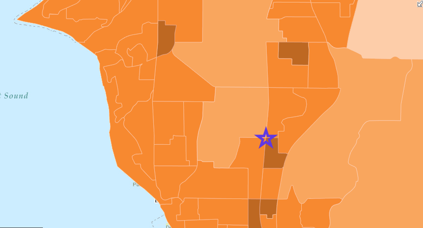 The darked red tracts are desnet while the orange are medium and the lighter peach color is the least dense. The station is the star. (ArcGis)