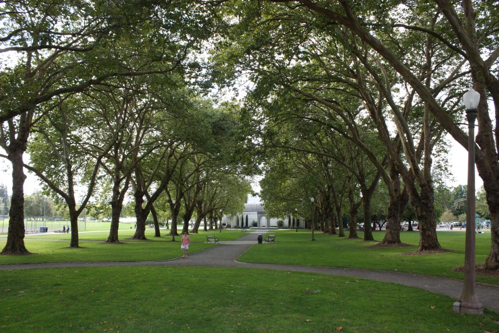 Green Lake Park itself is a destination for the whole city.