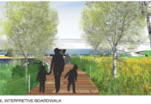 Portage Bay Park Moves Ahead To Final Design