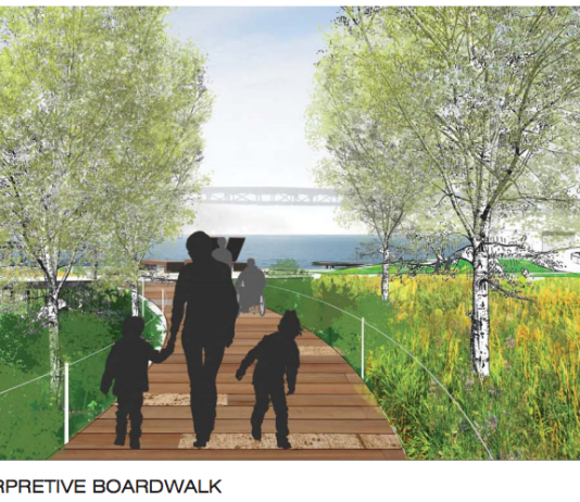 Portage Bay Park Moves Ahead To Final Design