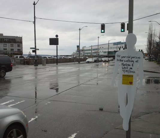 Making Vision Zero Real