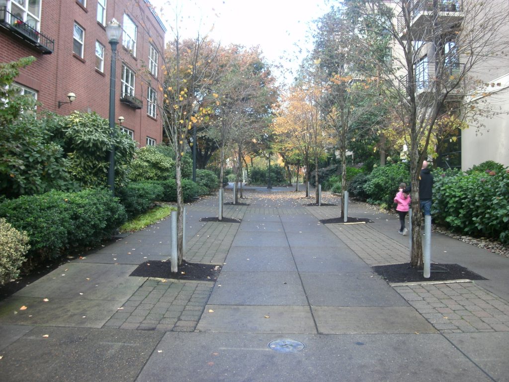 Pedestrian promenade in Portland's Pearl District (photo by the author)