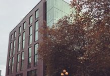 What We’re Reading: Crystal Ball, The Portland Model, And Trumped Up