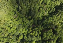 Sunday Video: Washington Is Awesome