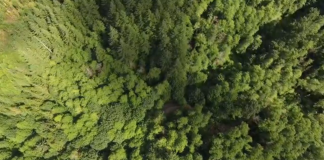 Sunday Video: Washington Is Awesome