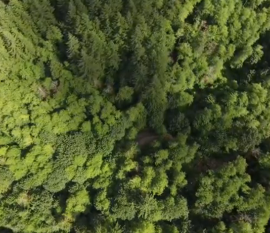 Sunday Video: Washington Is Awesome