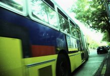 Rest In Peace, Breda Monster