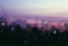 What Works For Me, In & Around the Mighty Amazon Jungle