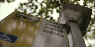 (We Could Be) Heroes