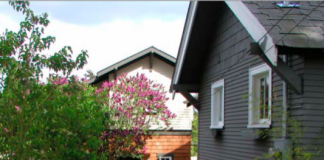 Backyard Cottages: The New Bungalows Of The Middle Class