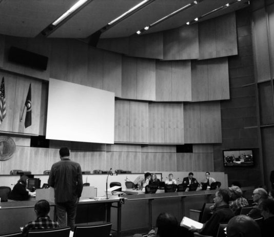 What Is The PLUZ Committee?