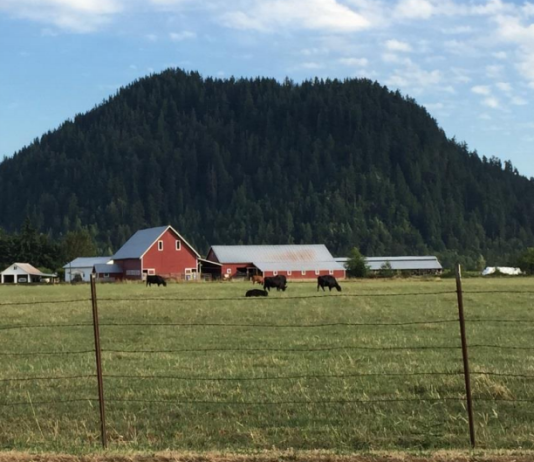 Washington Republicans Mount All-Out Assault On Growth Management