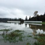 Ag-Drainage-Seasonal-Flooding