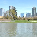Current-image-of-Bellevue-Downtown-Park