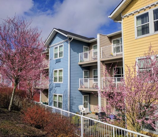 Supporting Density Without Considering Housing Costs