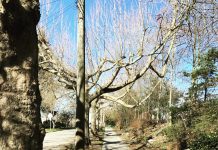 Map Of The Week: 2017 Sidewalk Projects In Seattle