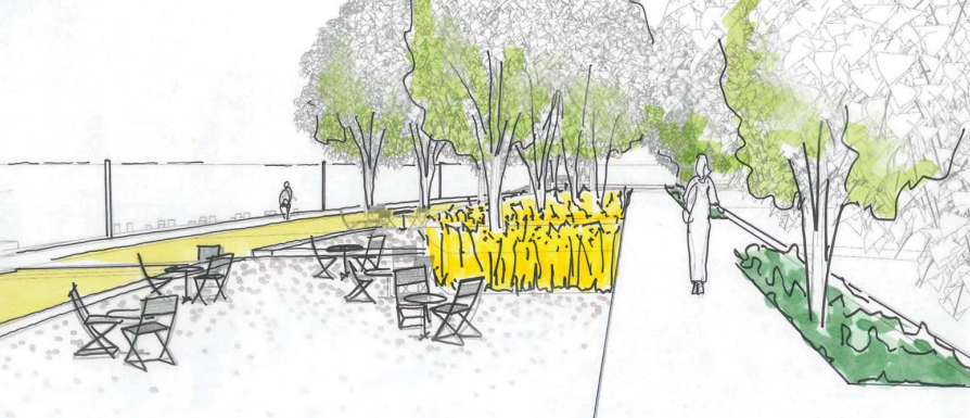 Sketch of the picnic terrace next to Boat Street. (Walker/Macy / City of Seattle)