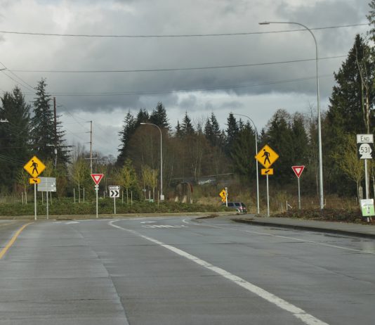 Washington Lawmakers Pass Distracted Driving Bill