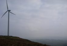 Link Light Rail Is Going 100% Carbon Neutral In 2019