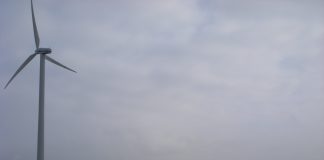 Link Light Rail Is Going 100% Carbon Neutral In 2019