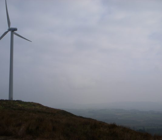 Link Light Rail Is Going 100% Carbon Neutral In 2019
