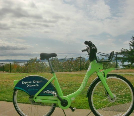 Will Private Bikeshare Poison The Well in Seattle?