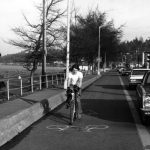 32954630315_c06a864d07_b