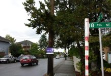 NE 65th Street Vision Zero Concepts Unveiled