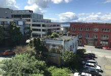 What We’re Reading: All Clear, AS At PAE, And Protecting Salmon