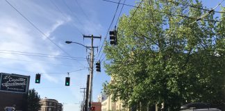 What We’re Reading: Climatic Threat, Wrongful Deportation, And Island Politics