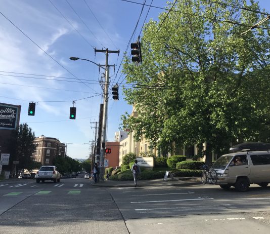 What We’re Reading: Climatic Threat, Wrongful Deportation, And Island Politics