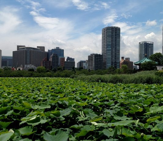 Exploring Tokyo Urbanism