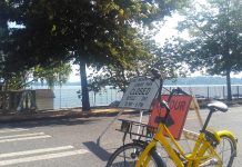 Finding Bikeshare’s Role In Seattle